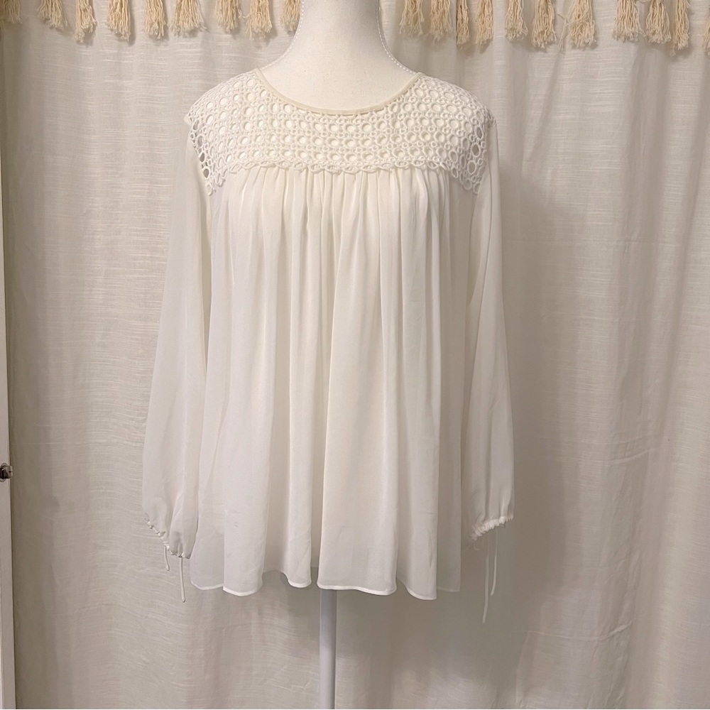 Ann Taylor Loft Sheer Blouse